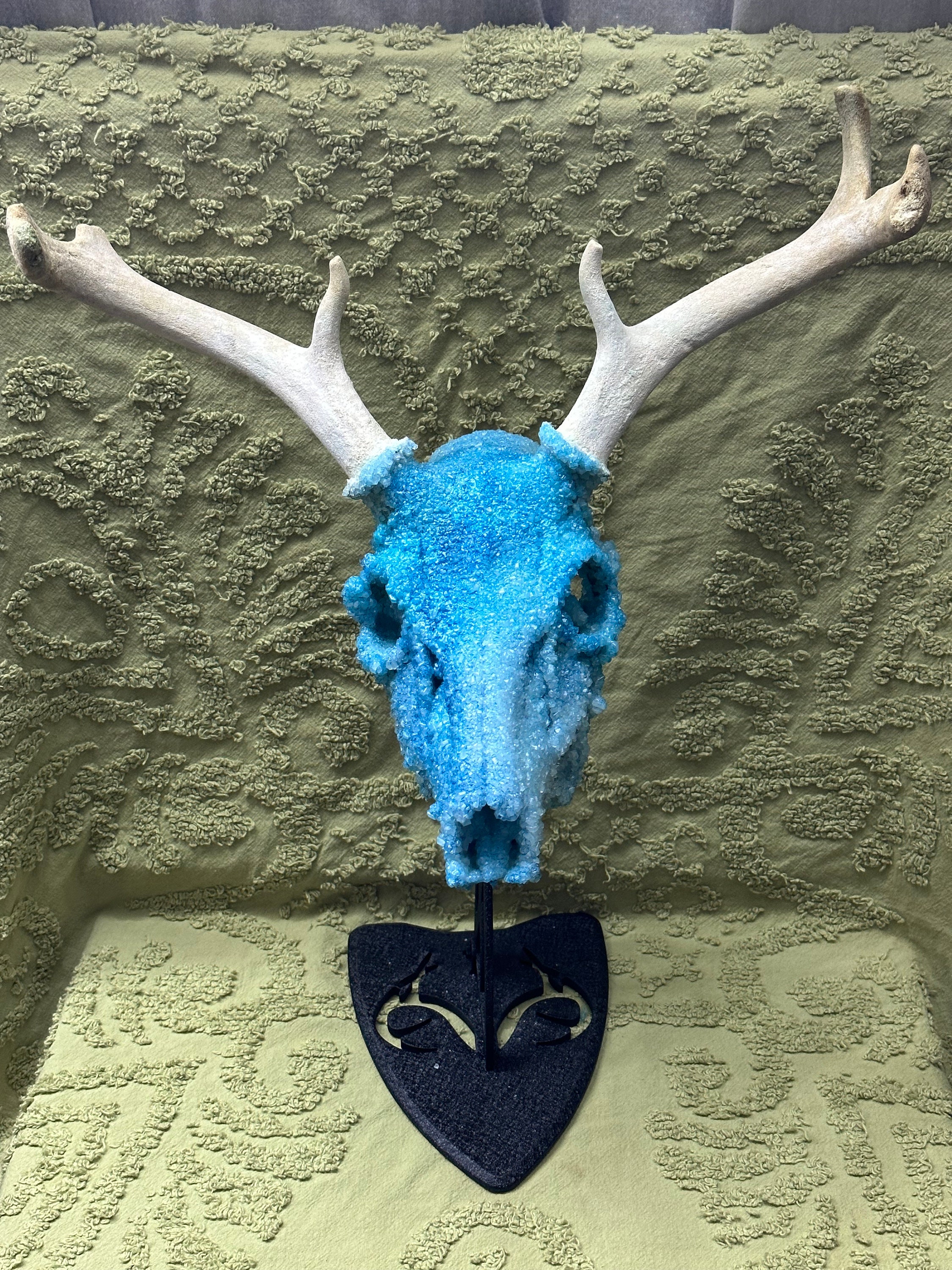 【メール便送料無料対応可】 Crystallized Arkansas Deer Skull Mount Turquoise - Etsy 置物