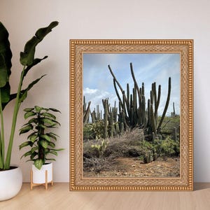 Stampa fotografica di cactus del deserto – Arte murale minimalista boho – Paesaggio artistico per l'arredamento moderno e del sud-ovest