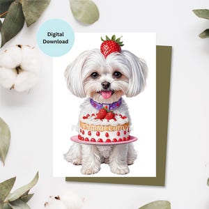 Cartão de aniversário de cachorro maltês | Cartão de feliz aniversário | Festa | Cartão de felicitações | Celebração | Cartão para impressão | Download digital