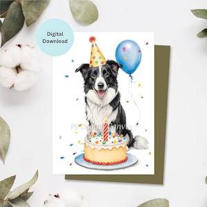 Biglietto di auguri per compleanno Border Collie / Biglietto di auguri di buon compleanno / Festa / Biglietto di auguri / Celebrazione / Biglietto stampabile / Download digitale