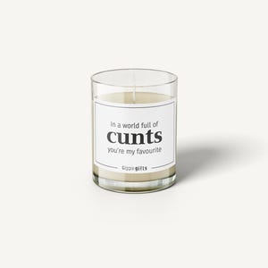 Presente de vela engraçado | Em um mundo cheio de idiotas, você é meu favorito | Vela rude | Presente para amigos ou casais | Presente de Natal atrevido