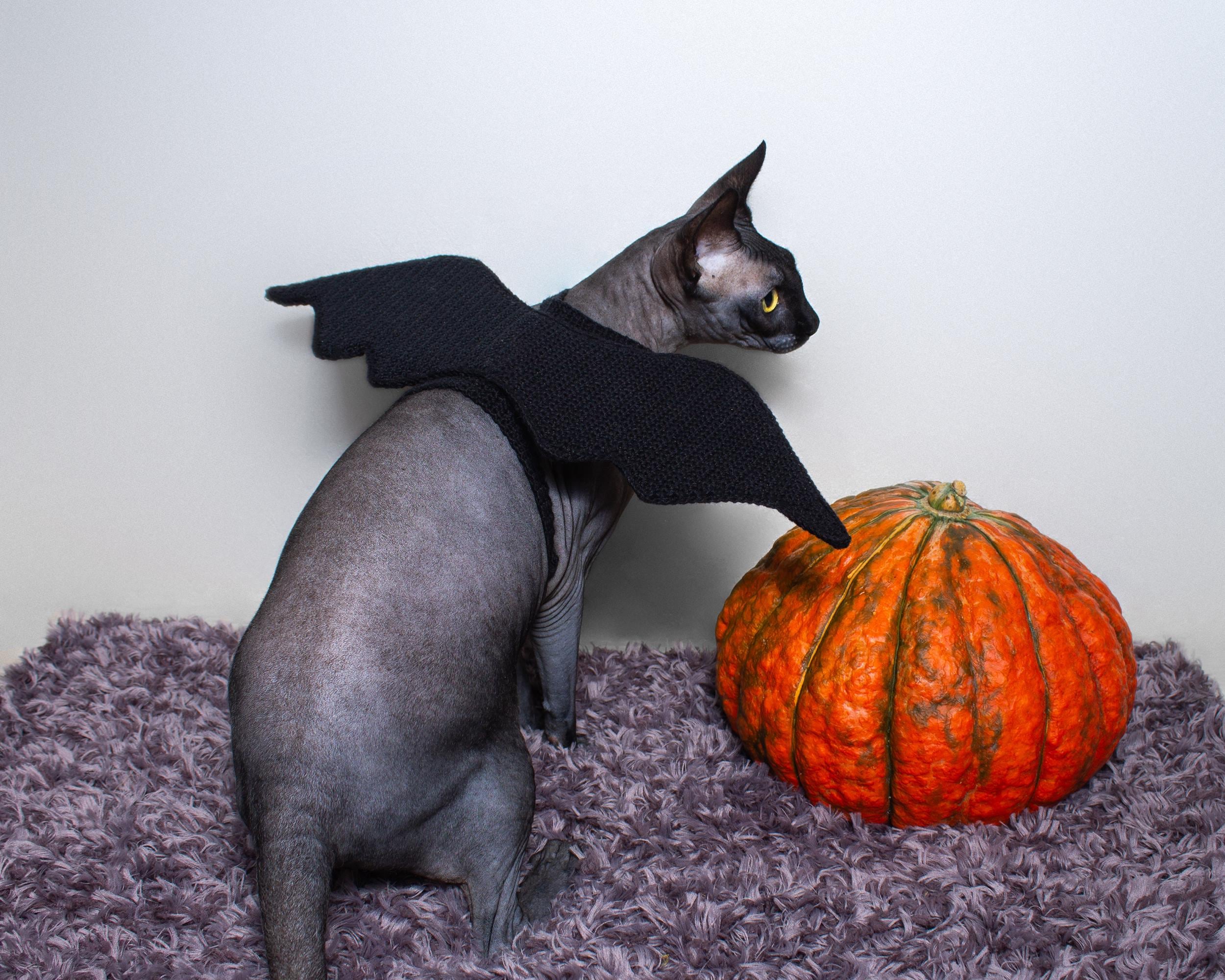 Bat Wings for Cat Crochet Pattern PDF by Irina Khoroshaeva - Etsy