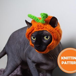 May include: A black hairless cat wearing a knitted orange pumpkin hat with green leaves. The hat is a crochet pattern for a pet costume.