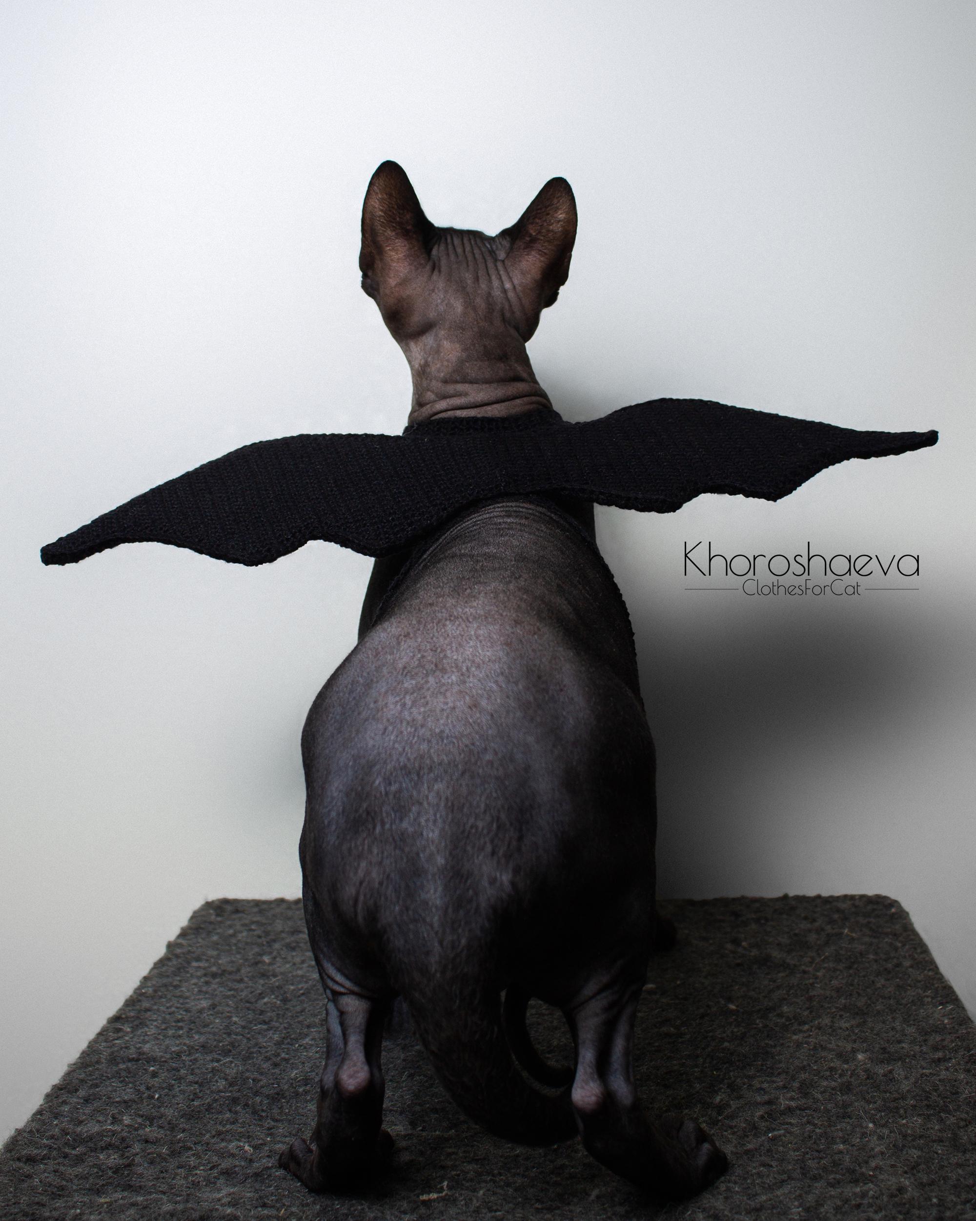 Bat Wings for Cat Crochet Pattern PDF by Irina Khoroshaeva - Etsy