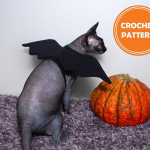 Puede incluir: Un disfraz de murciélago de crochet negro para un gato. El disfraz tiene alas y una correa para el cuello. El gato lleva el disfraz y mira una gran calabaza naranja.