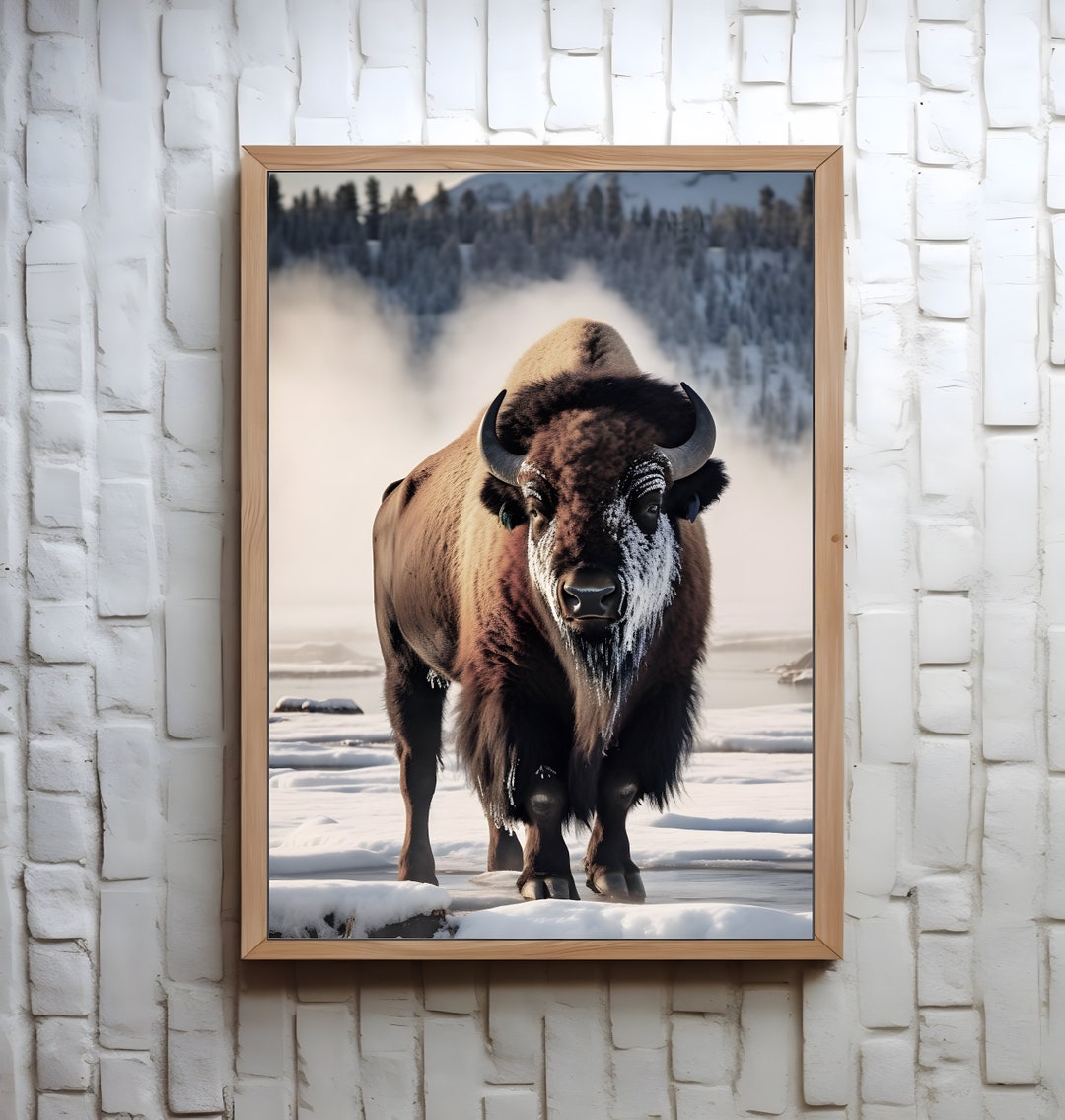 Buffalo in Winter American Bison Yellowstone Art Print Poster Wall Art ...