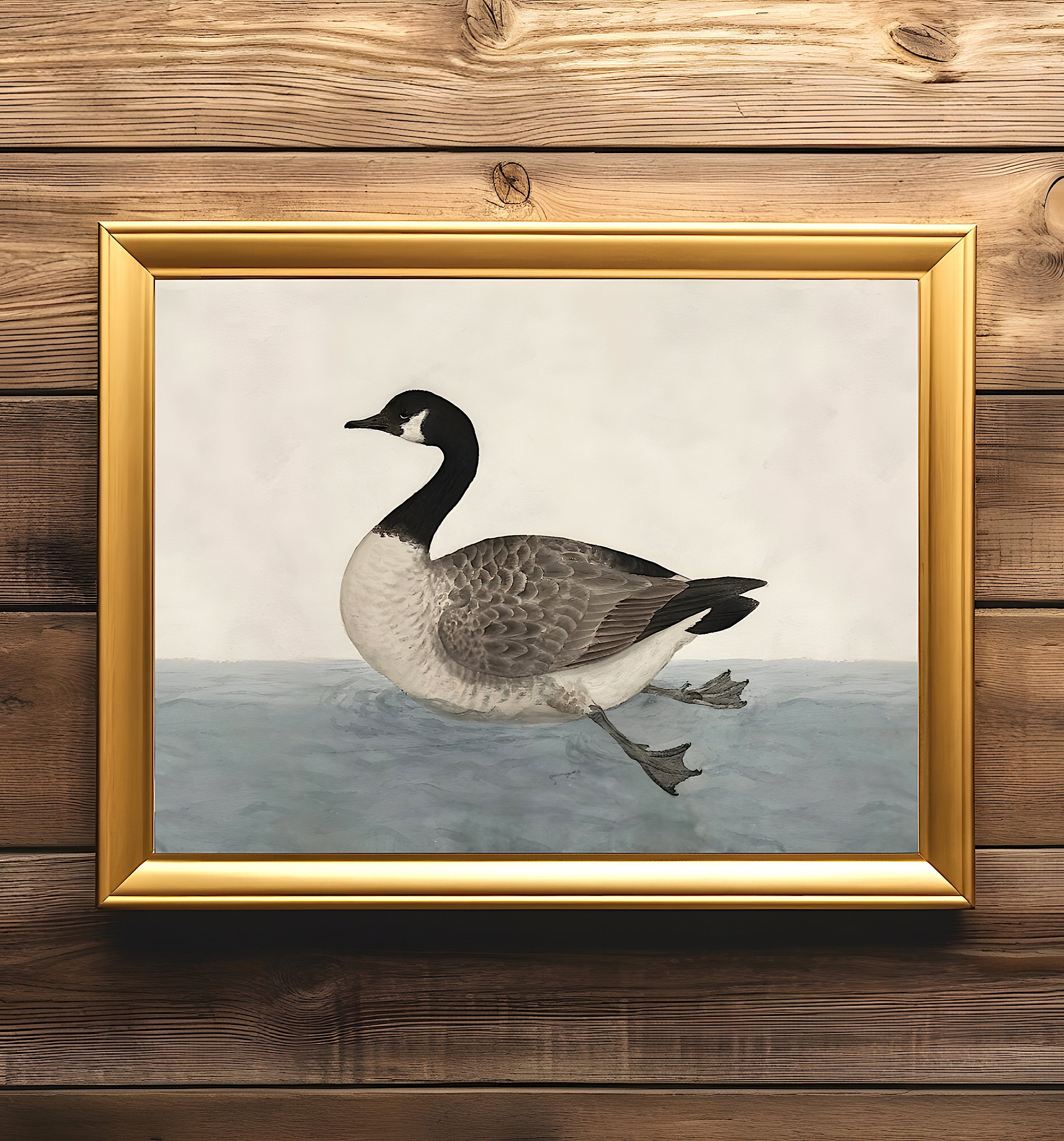 Vintage Canada Goose Etsy Australia