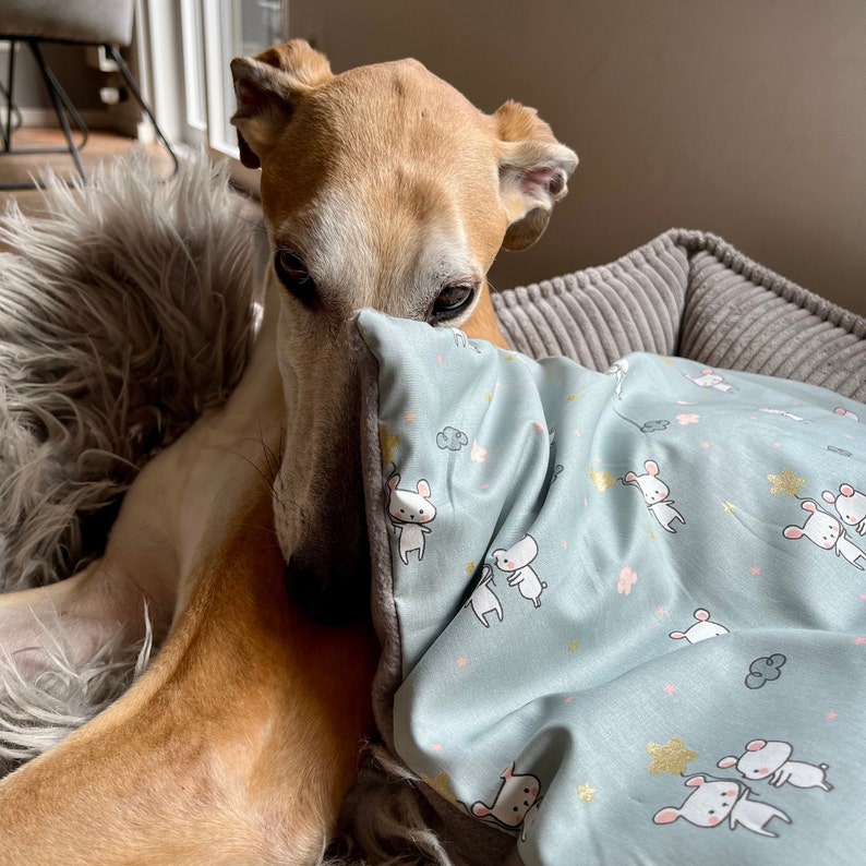 Almohada de piel de espelta para perros M/L, almohada de bienestar, almohada térmica imagen 1