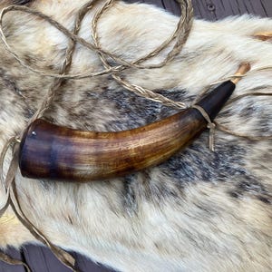 May include: A curved, brown horn with a dark brown tip and a light brown cord. The horn has a smooth, polished surface and is tied with a leather strap. The horn is lying on a fur rug.