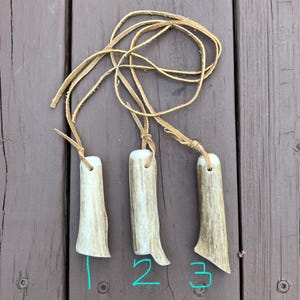 May include: Three antler pendants with leather cords. Each pendant is a unique shape, with a natural, off-white and brown color. The leather cords are a light tan color, knotted at the top of each pendant.