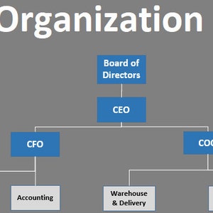 Employee Hierarchy, Company Organization Chart, Business Plan, Business ...