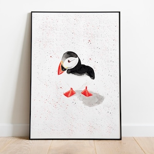 Puffin Watercolor Illustration