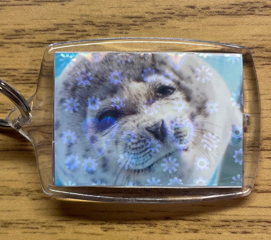 Seal Keychain ponsuke 5 A Grade Etsy