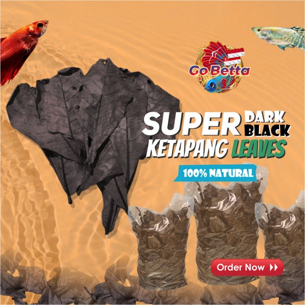 Ketapang Super Dark- Indian Almond Super Black ketapang Leaves Betta Fish Ready To Use PREMIUM QUALITY