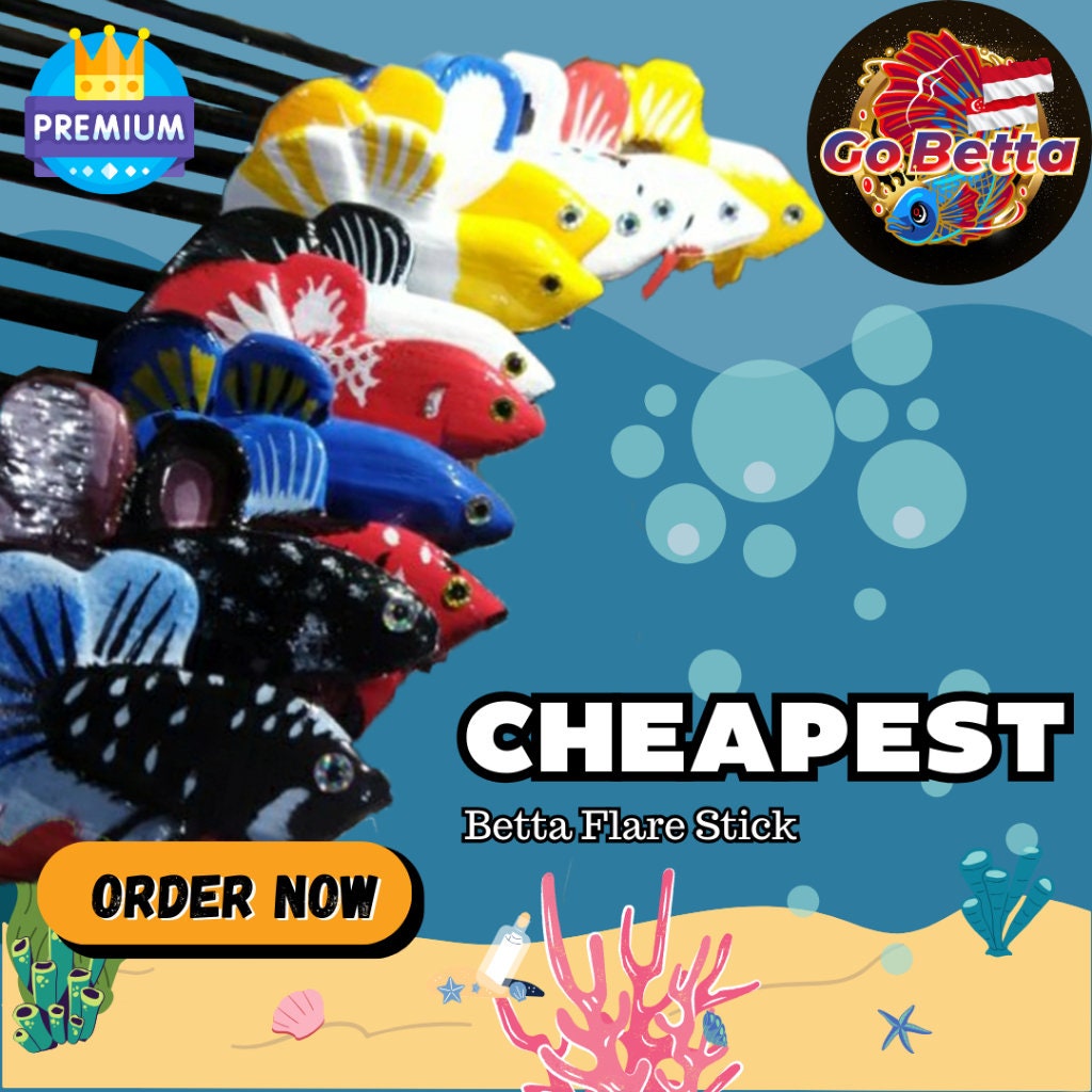 Cheapest With Premium Quality Latest Design Flare Stick for Betta