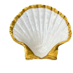 May include: A white seashell with a gold rim. The shell is a decorative object.
