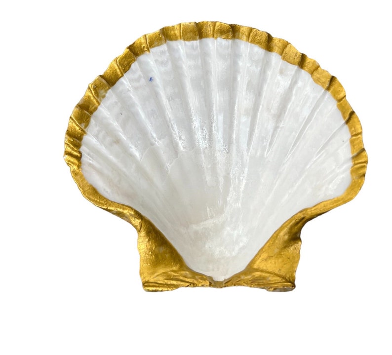 May include: A white seashell with a gold rim. The shell is a decorative object.