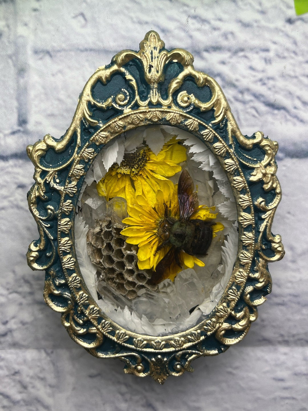 Real Preserved Blue Carpenter Bee, Preserved Flowers Wasp Nest, Quartz ...