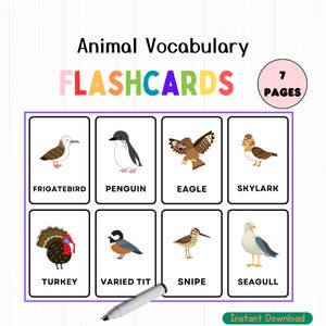 Animals Vocabulary Flash Cards: Montessori Printable Cards (PDF)