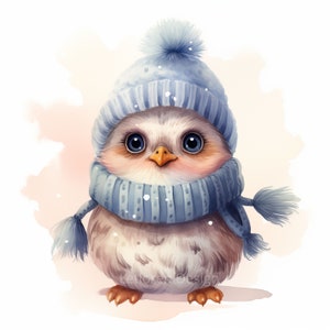 Clipart de chapéu de 12 pássaros, Robin de Natal, clipart em aquarela para impressão, JPGs de alta qualidade, download digital, artesanato em papel, diário de lixo eletrônico