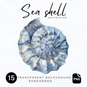 Watercolor Conch Shell Clipart Set - 15 High-Quality PNGs for Coastal Bliss, Crafts, and Sublime Creations, for wall art, cards, sublimation