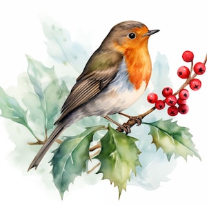 14 Noël Robin Clipart, Robin love, Clipart aquarelle imprimable, JPG de haute qualité, Téléchargement numérique, Artisanat en papier, journaux indésirables