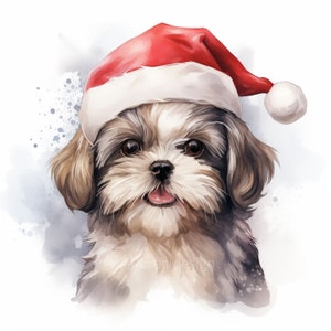 10 High Quality Designs of Shih Tzu, Shih Tzu Christmas, Dog Breed, Clip Art 10 JPGs, Watercolor, Digital Download, Cute dog