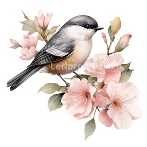 Clipart mésange et oiseaux aquarelle, 10 JPG de haute qualité, téléchargements numériques, utilisation commerciale, Mix Media, journal indésirable, scrapbook