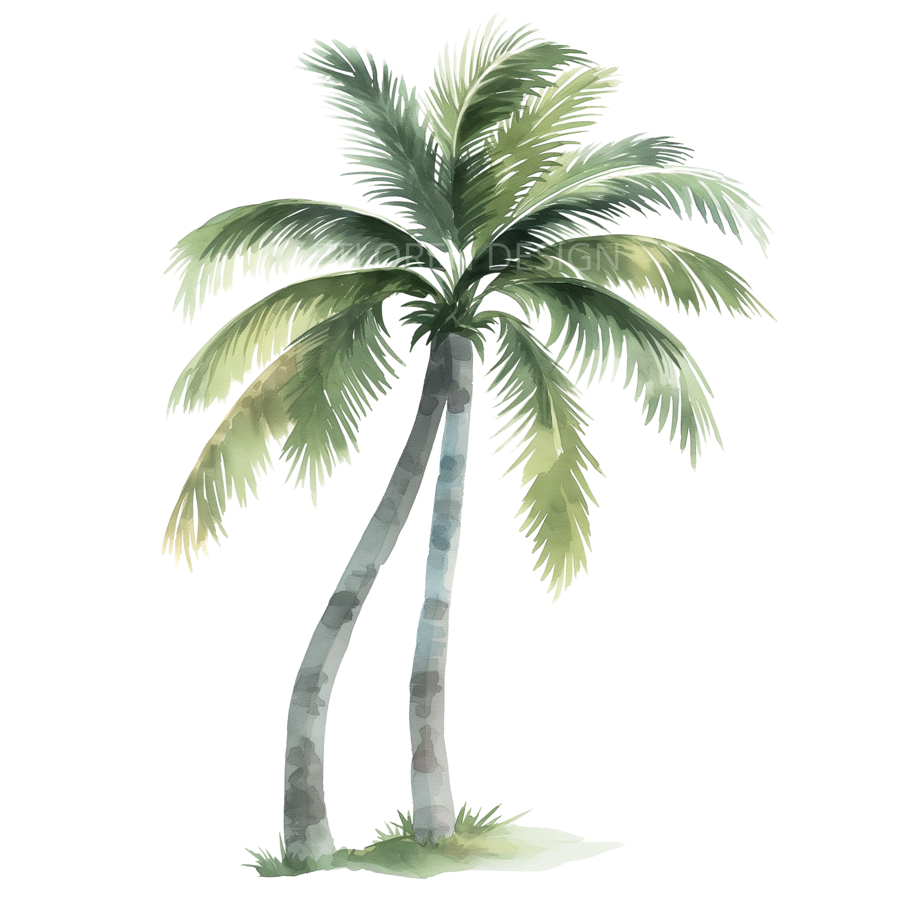 Palm Tree Designs Clipart Wall Art, Planners, Calendars, Scrapbooking ...