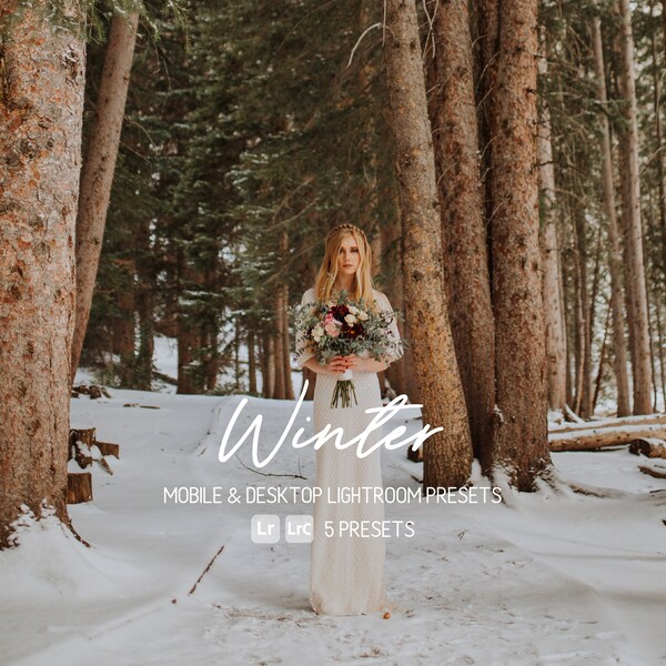 Winter Lightroom Presets | Desktop & Mobile  | Warm, Bright, Pretty, Vibrant, Snow | Photo Editing, Filters | 5 Lightroom Presets