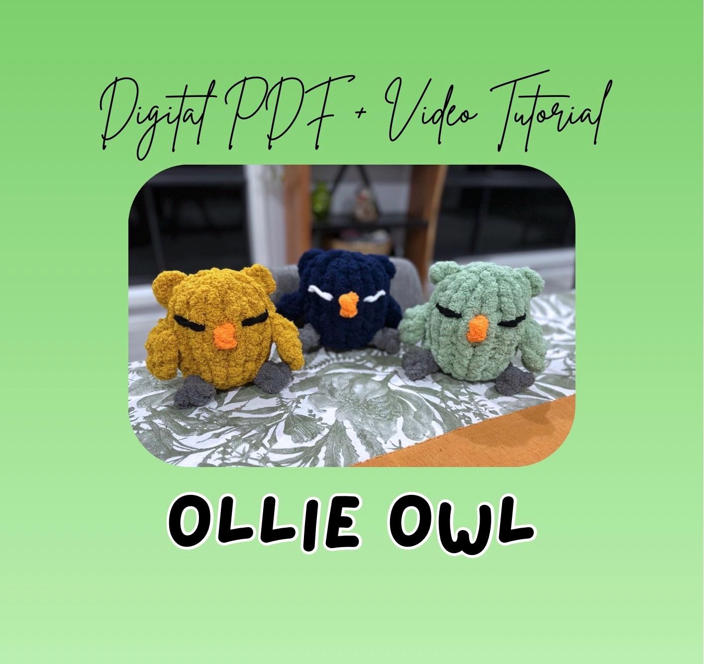 Ollie Owl Finger Knitted Plush Pattern | DIY Tutorial (Digital Download)