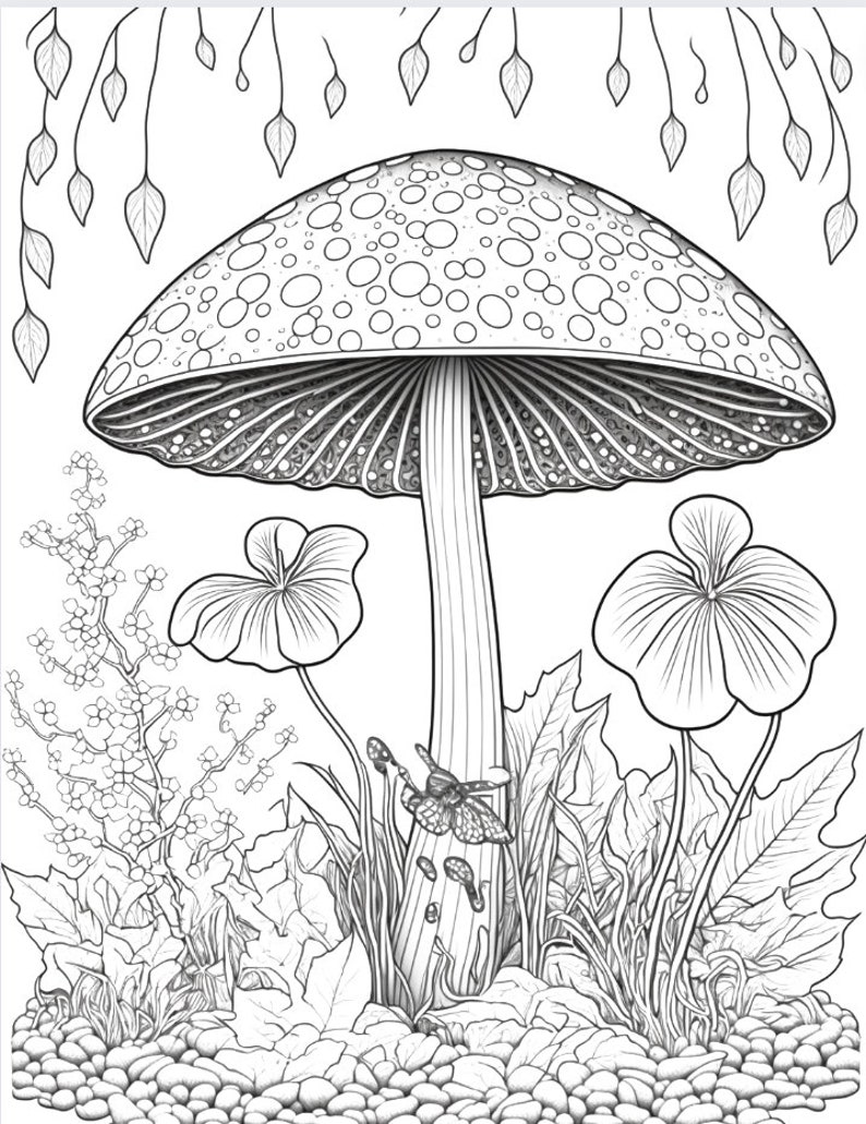 Adult Coloring Pages, Mushrooms, Mushroom Scenes, 30 Full Pages to ...