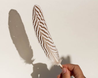 Feathers for Smudging | Air Element Ritual | Ethically Sourced | Sacred Connection to the Elements