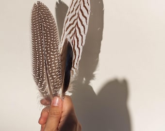 Abanico de plumas para purificar / Ritual del elemento aire / Origen ético / Conexión sagrada con los elementos
