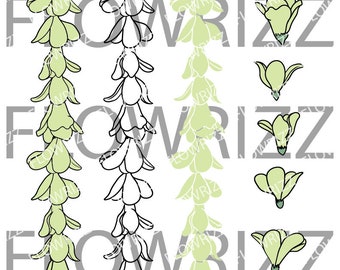 Plumeria Lei Flower set - Plumeria Lei Flower set Clip art - svg, eps, pdf, png, jpg