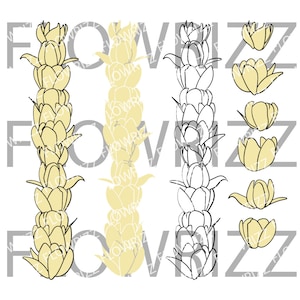 Pikake Lei Flower set - Pikake Lei Flower Clip art - svg, eps, pdf, png, jpg