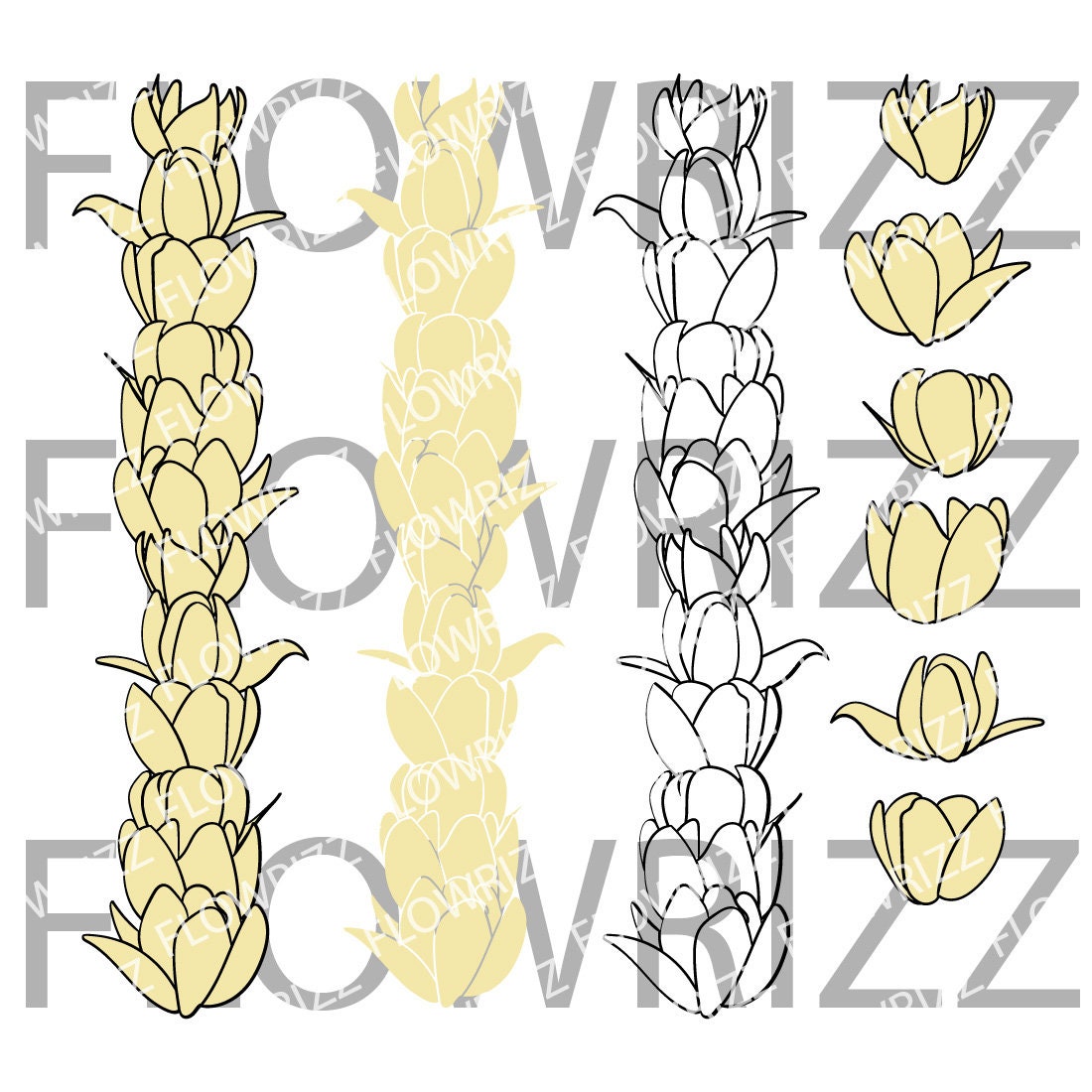 Pikake Lei Flower set - Pikake Lei Flower Clip art - svg, eps, pdf, png, jpg