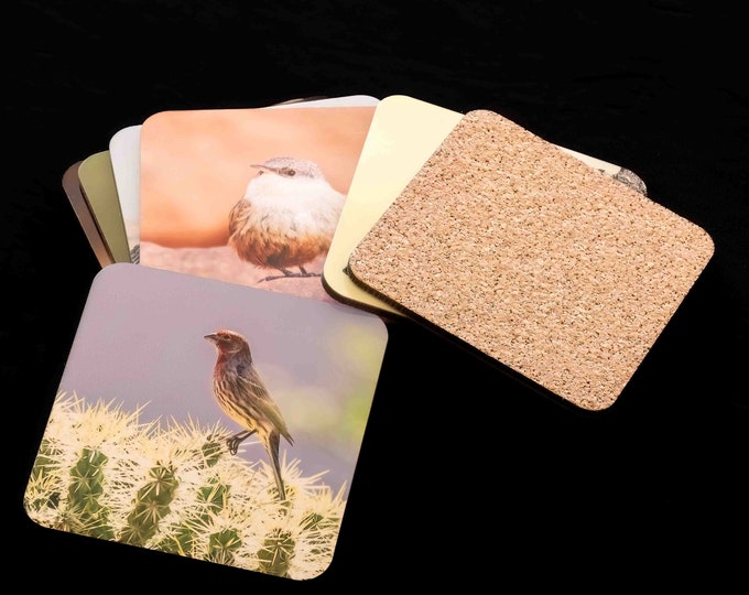 Pretty Birds, Set of 4 or more Coasters, original photography, South West, Wildlife images