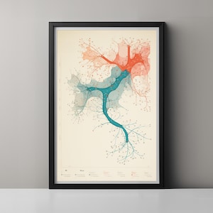 May include: A framed wall art print featuring a complex, branching network diagram on a cream background. The graphic displays interconnected nodes and pathways in shades of red, teal, and blue, with small text labels at the bottom of the print.