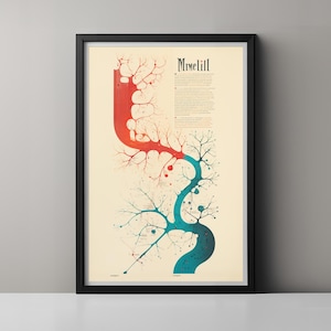 May include: A framed vertical poster featuring a stylized tree diagram with the text "MrMeLill" at the top. The tree trunk transitions from a vibrant red at the top to a deep teal at the bottom, with intricate branching lines and small circular nodes.