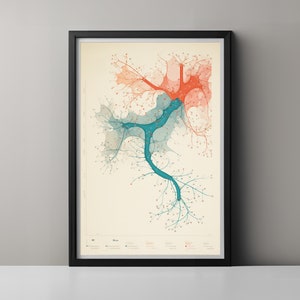 Może przedstawiać: Szczegółowa ilustracja neuronu, komórki nerwowej, z złożoną siecią dendrytów i aksonów. Neuron jest przedstawiony w odcieniach niebieskiego, zielonego i czerwonego, na białym tle.