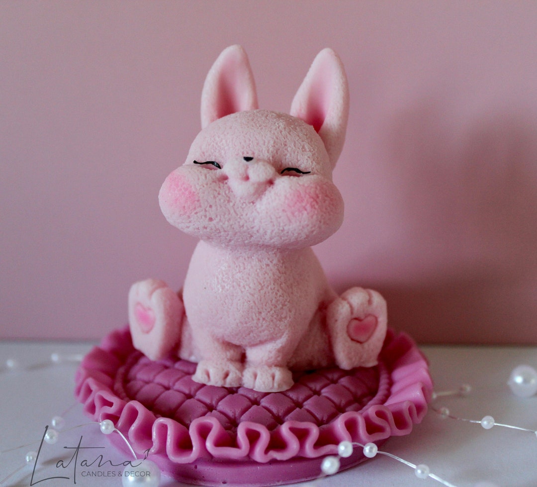 Soaping Rabbit Cute Bunny Soap| Soap for Kids| Handmade Soap Gift| Lovely Rabbit ...