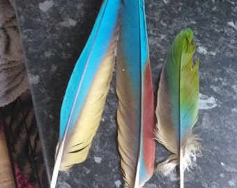 Feathers