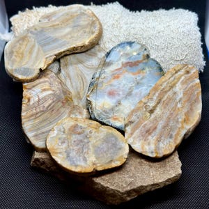 Premium South Dakota Prairie Agate Slab Pack - 6 gorgeous slabs from various South Dakota Prairie Agates! Beautiful banding and colors!