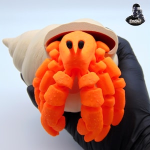 May include: A 3D-printed orange hermit crab emerging from a beige seashell. The crab has detailed claws and eyes. The shell is smooth and curved. The image is set against a white background.