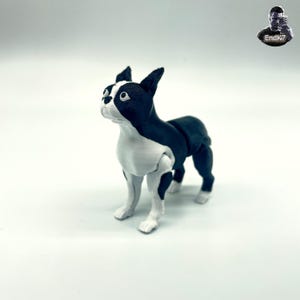 Könnte beinhalten: Eine 3D-gedruckte Boston Terrier Hundefigur. Der Hund ist überwiegend schwarz und weiß, mit einem schwarzen Körper und Kopf und weißen Markierungen auf Gesicht, Brust und Beinen. Die Figur steht auf allen Vieren, mit nach oben geneigtem Kopf.