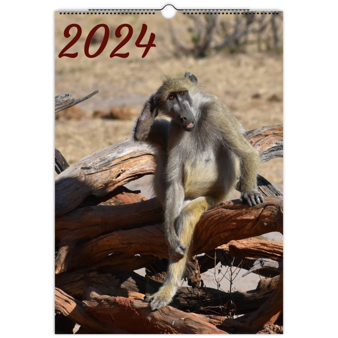 A3 African Wildlife Calendar 2024 Etsy