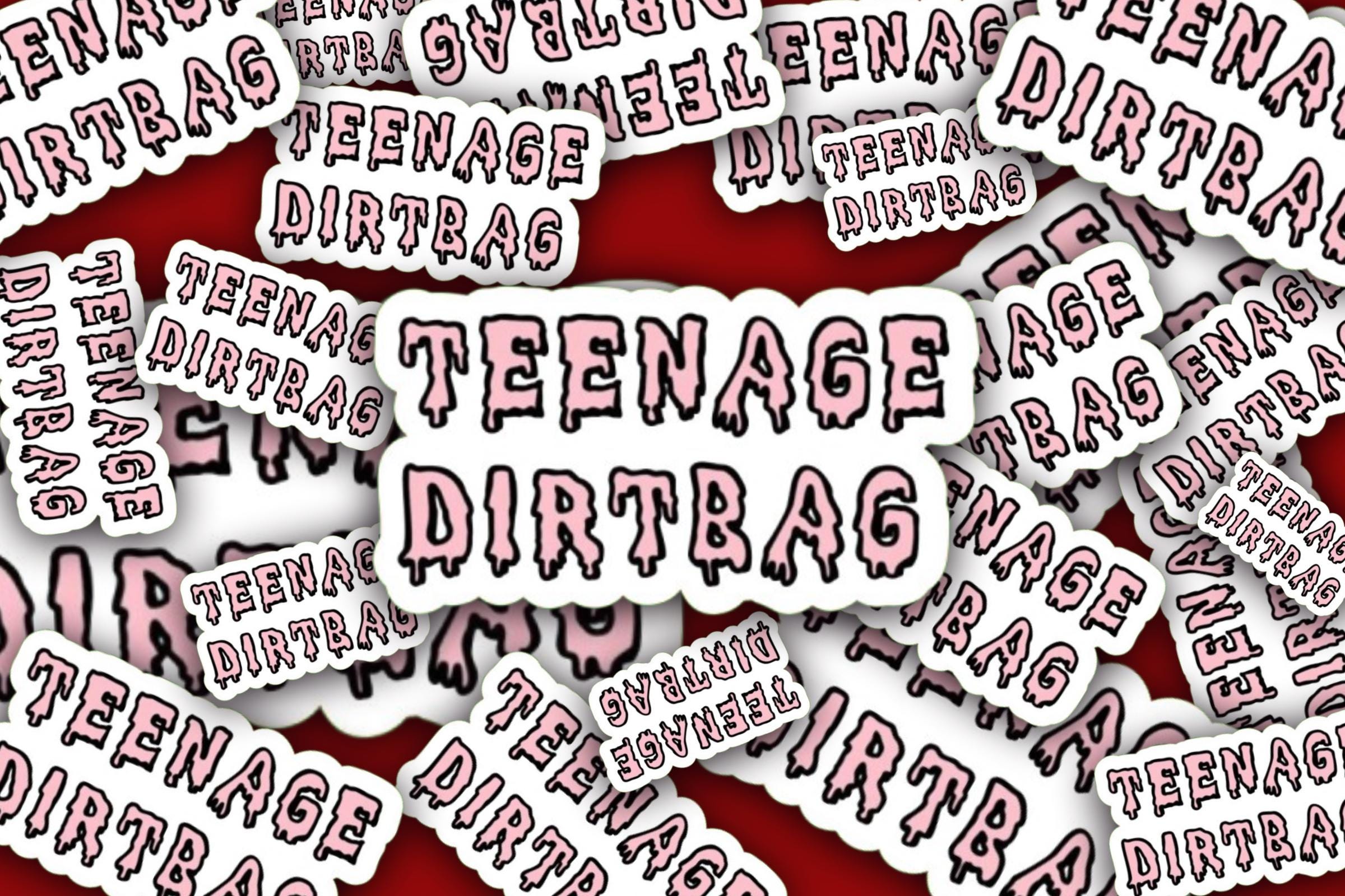 Pink Teenage Dirtbag Vinyl Sticker