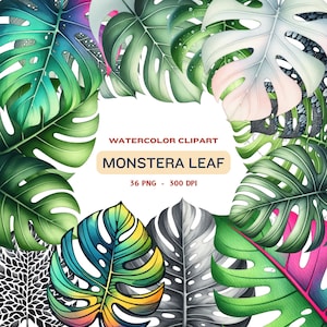 Watercolor Monstera Leaves Clipart: Tropical PNG Images (Commercial Use)