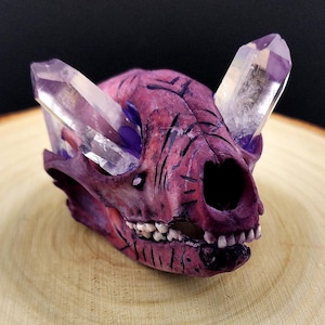 Ethically Sourced Authentic Real Raccoon Skull Natural Bone Hand Carved With Quartz Crystals